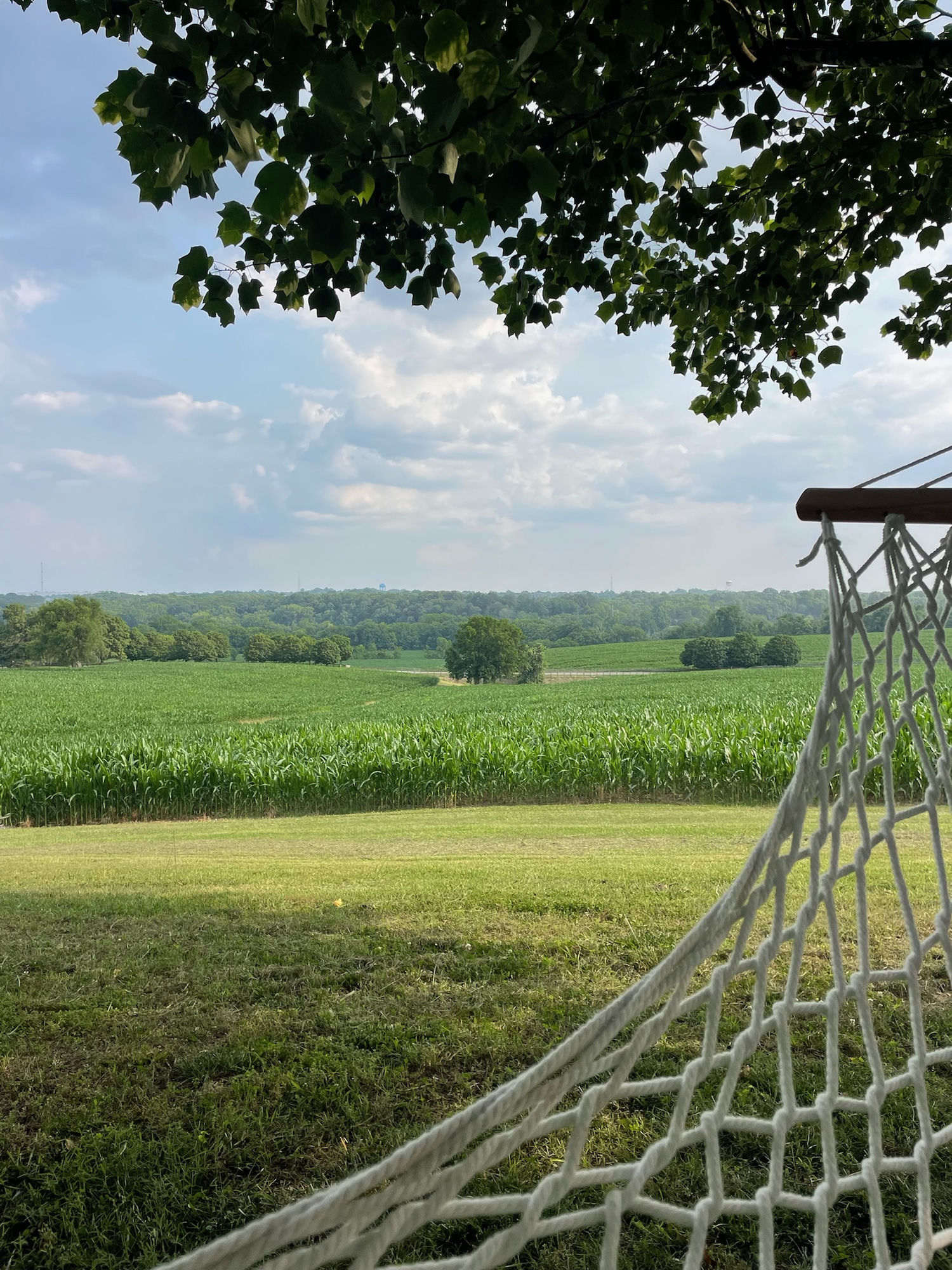 Hammock overlooking the cornfields at Hopecote